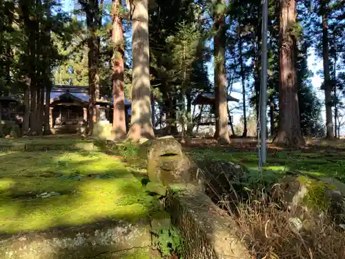 成島八幡神社の自然