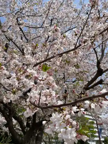 菊名神社(神奈川県)