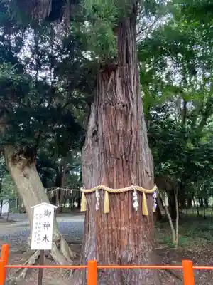 息栖神社のその他建物