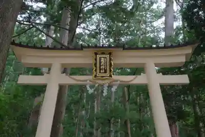 飛瀧神社(熊野那智大社別宮)の鳥居
