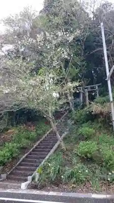 愛宕神社のその他建物
