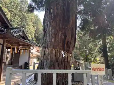 愛宕神社（阿多古神社）(京都府)