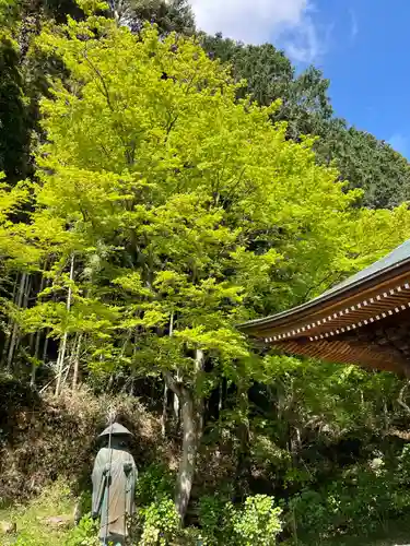 普門寺(切り絵御朱印発祥の寺)のその他建物
