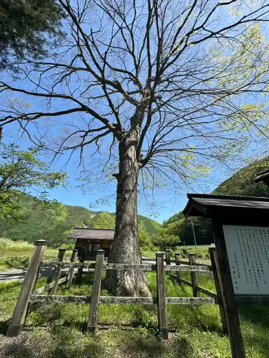 旗挙八幡宮(長野県)