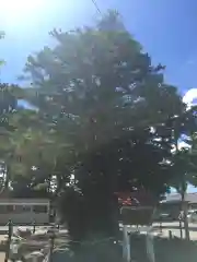 豊栄神社(北海道)