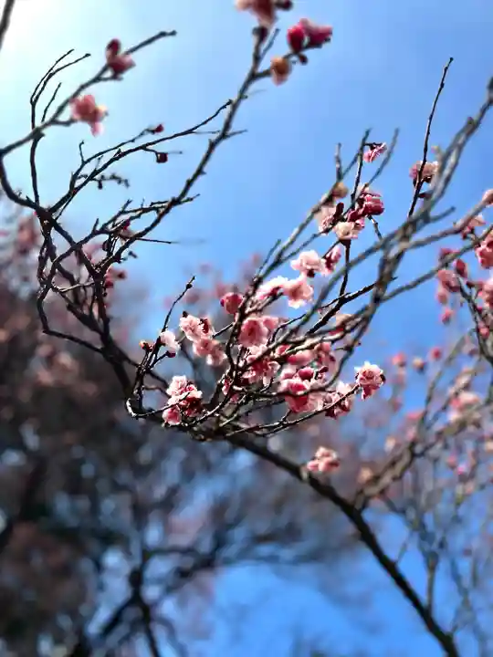 眞田神社(長野県)
