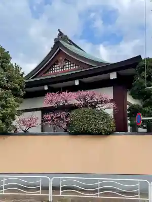 常光寺の{uncategorized: "未分類", other: "その他", undefined: "問題あり", building: "その他建物", grave: "お墓", sacred_gate: "鳥居", guardian: "狛犬", statue: "像", buddha: "仏像", history: "歴史", nature: "自然", garden: "庭園", animal: "動物", pagoda: "塔", temizu: "手水舎", mountain_gate: "山門・神門", sanctuary: "本殿・本堂", subordinate: "末社・摂社", art: "芸術", scenery: "景色", jizo: "地蔵", ema: "絵馬", goshuin: "御朱印", omikuji: "おみくじ", items: "授与品その他", amulet: "お守り", goshuincho: "御朱印帳", eats: "食事", festival: "お祭り", votive_dance: "神楽", shichigosan: "七五三参", wedding: "結婚式", experience: "体験その他", initially: "初詣", around: "周辺", anti_infection: "感染症対策"}
