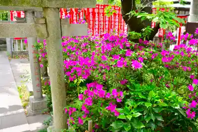 江東天祖神社(東京都)