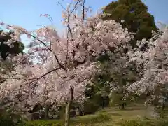 平安神宮(京都府)