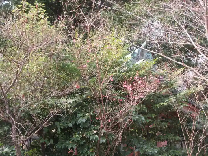 芝東照宮の自然