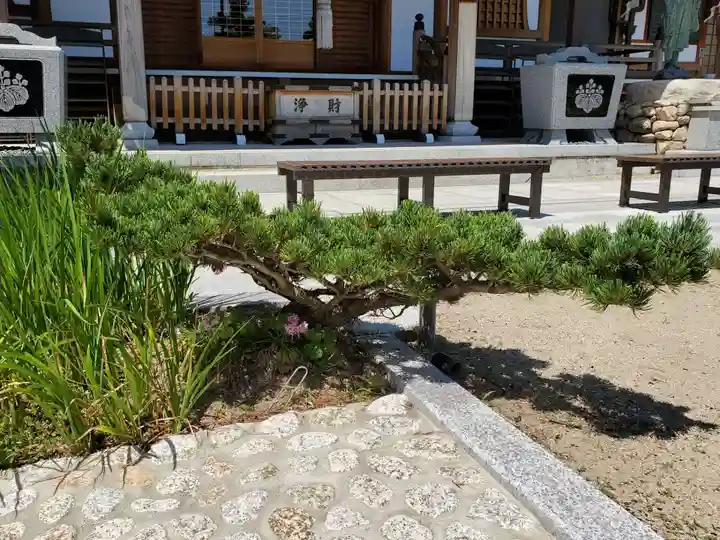 水天宮西廣寺の自然