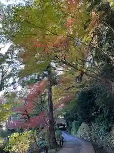 天台宗 長窪山 正覚寺の自然(2021年11月30日(火) 09時46分46秒投稿)