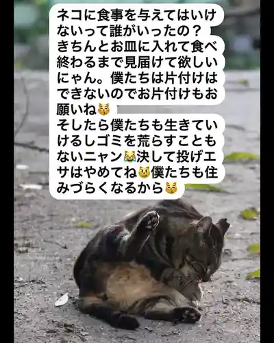 専念寺(大阪府)