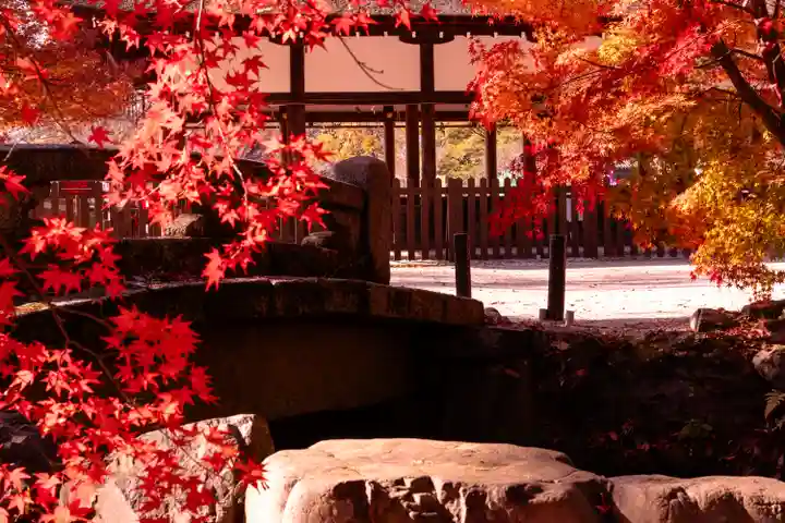 賀茂別雷神社(上賀茂神社)(京都府)