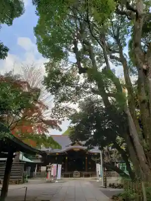 渋谷氷川神社(東京都)