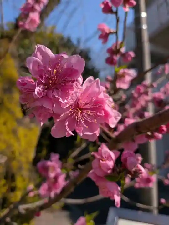稲荷社(東京都)