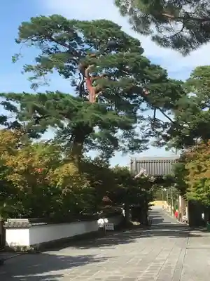 禅林寺(永観堂)のその他建物