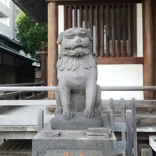 綾瀬稲荷神社の狛犬