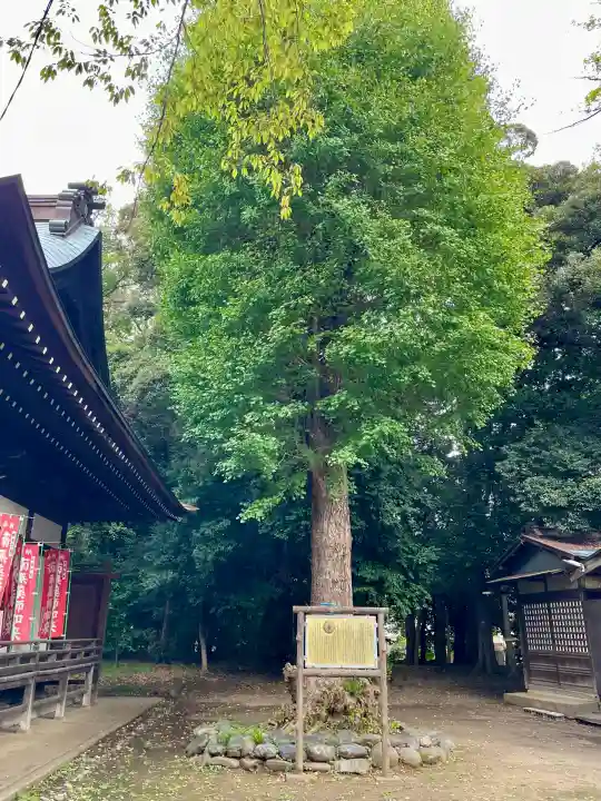 春日神社(神奈川県)