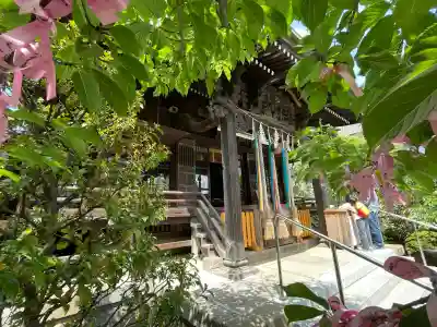桜神宮(東京都)