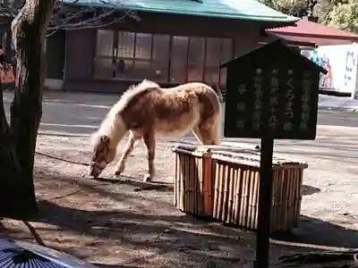 平塚八幡宮(神奈川県)