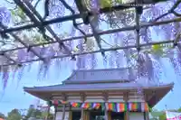 西新井大師総持寺(東京都)