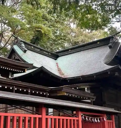 谷保天満宮(東京都)