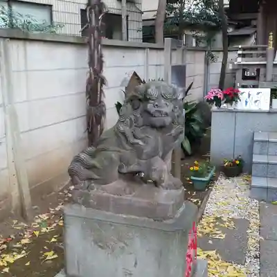 高円寺氷川神社の狛犬