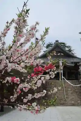 萬勝寺（飯高観音）(岐阜県)