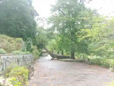 日運寺(千葉県)