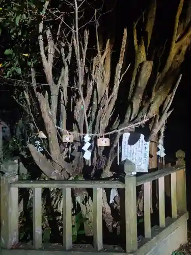 幣立神宮(熊本県)