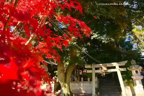 美和神社(群馬県)