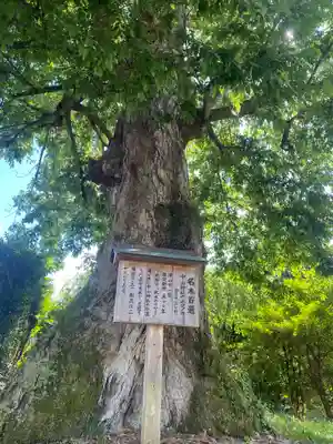 中山神社(岡山県)