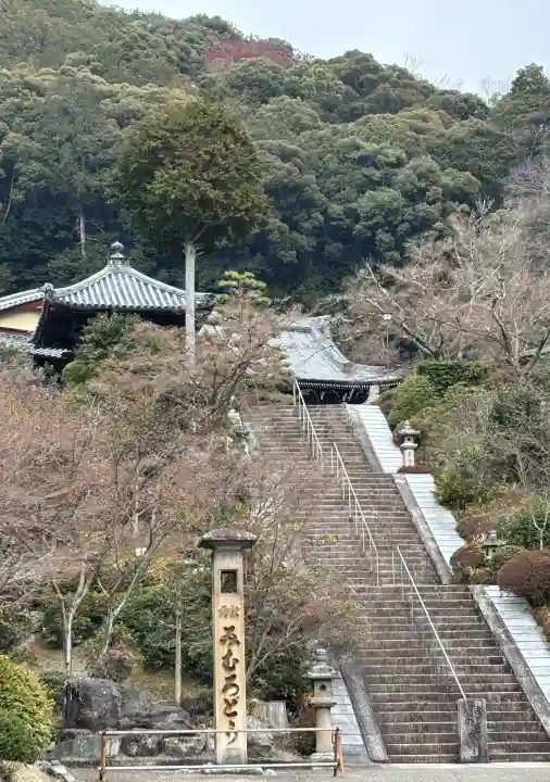 三室戸寺の{uncategorized: "未分類", other: "その他", undefined: "問題あり", building: "その他建物", grave: "お墓", sacred_gate: "鳥居", guardian: "狛犬", statue: "像", buddha: "仏像", history: "歴史", nature: "自然", garden: "庭園", animal: "動物", pagoda: "塔", temizu: "手水舎", mountain_gate: "山門・神門", sanctuary: "本殿・本堂", subordinate: "末社・摂社", art: "芸術", scenery: "景色", jizo: "地蔵", ema: "絵馬", goshuin: "御朱印", omikuji: "おみくじ", items: "授与品その他", amulet: "お守り", goshuincho: "御朱印帳", eats: "食事", festival: "お祭り", votive_dance: "神楽", shichigosan: "七五三参", wedding: "結婚式", experience: "体験その他", initially: "初詣", around: "周辺", anti_infection: "感染症対策"}