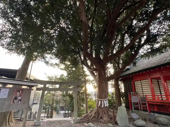 玉前神社(千葉県)