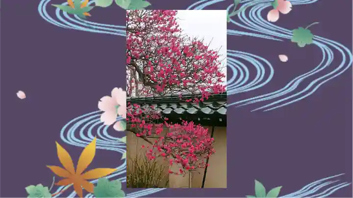 芳林寺(埼玉県)