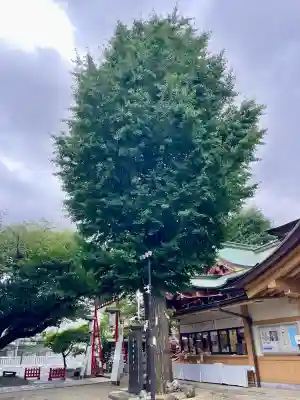 居木神社(東京都)