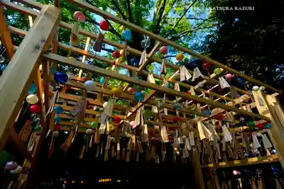 川越氷川神社(埼玉県)