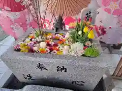 札幌諏訪神社の手水