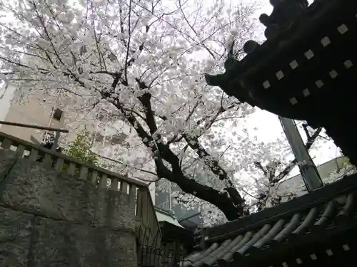 大阪天満宮の自然