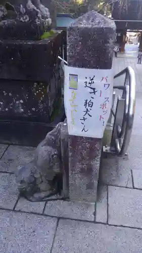 伊奈波神社の狛犬