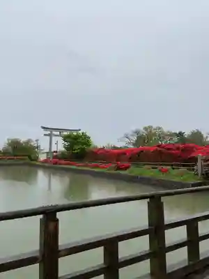 長岡天満宮(京都府)