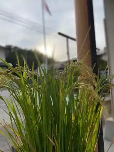 大鏑神社の自然