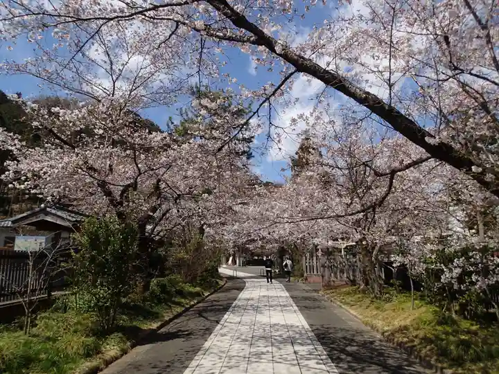 高麗神社の自然
