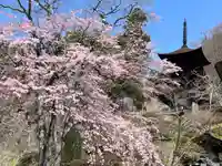 国宝 大法寺の自然