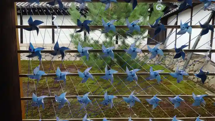 東福禅寺(東福寺)(京都府)