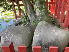 鶴岡八幡宮(神奈川県)