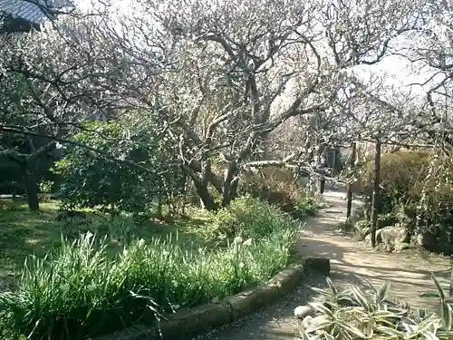 宝戒寺の庭園