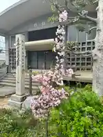 妙泉寺のその他建物