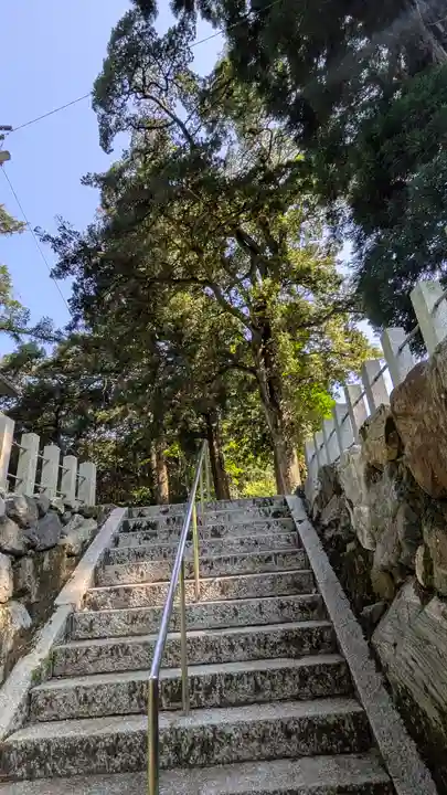 愛宕神社(阿多古神社)(京都府)